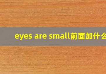 eyes are small前面加什么